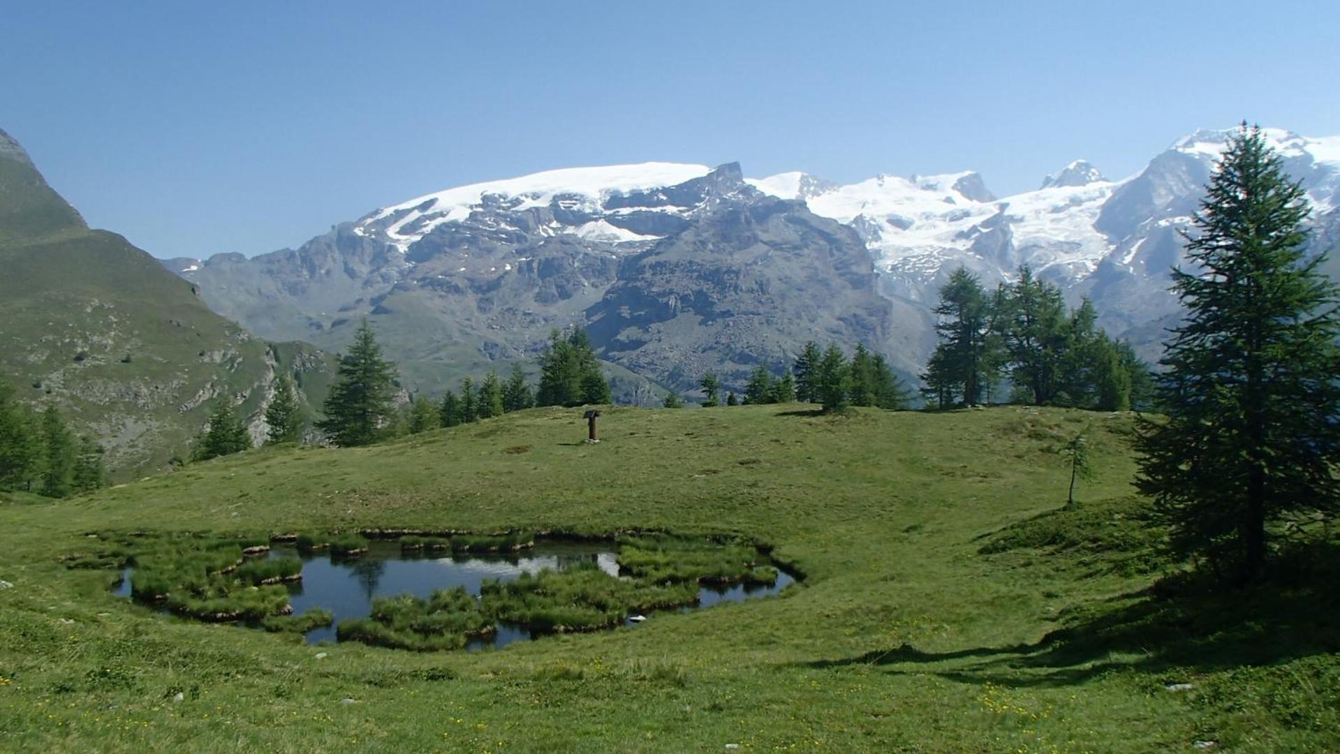 Champoluc Apartment Eksteriør bilde